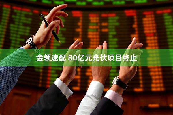 金领速配 80亿元光伏项目终止