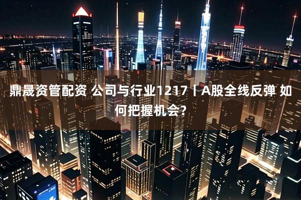 鼎晟资管配资 公司与行业1217丨A股全线反弹 如何把握机会？
