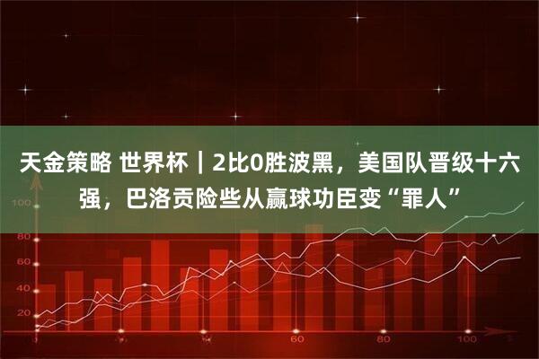 天金策略 世界杯｜2比0胜波黑，美国队晋级十六强，巴洛贡险些从赢球功臣变“罪人”